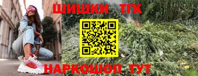 гашик Берёзовский