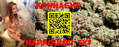 Альфа ПВП Бийск