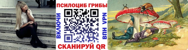 Псилоцибиновые грибы Psilocybine cubensis  Вятские Поляны 
